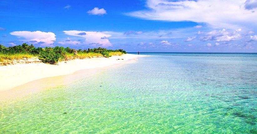 Surga Dasar Laut Gili Noko, Keindahan Terumbu Karangnya Mirip Bunaken