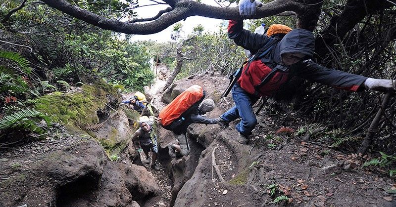 Alami Hipotermia dan Kaki Terkilir, Pendaki Gunung Sumbing Dievakuasi