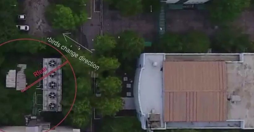 Drone Otomatis, Rekomendasi Peneliti untuk Jauhkan Burung dari Bandara