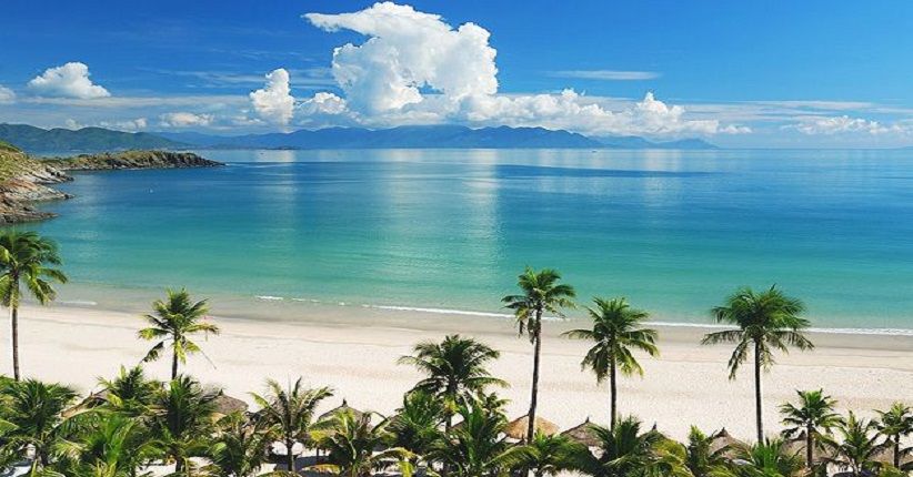 3 Spot Terbaik Nikmati Keindahan Laut, Yuk Lihat Hiu Paus di Honduras