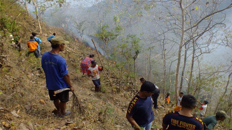 Gara-Gara Puntung Rokok, 20 Ha Hutan Rakyat di Kulonprogo Terbakar