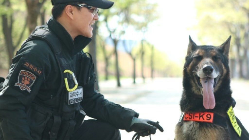 Korsel Beri Penghormatan ke Anjing Polisi yang Mati Digigit Ular