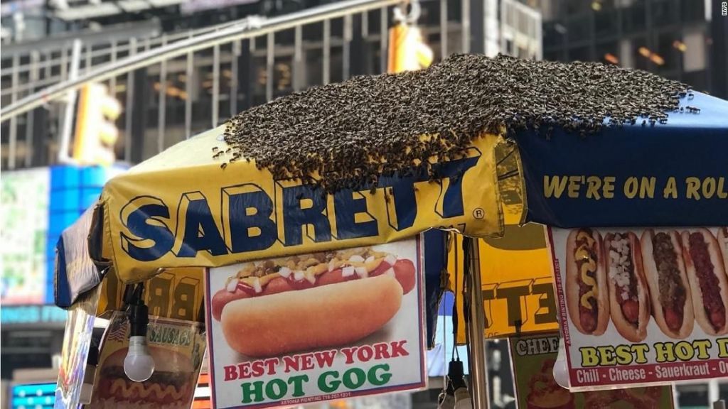 Belasan Ribu Lebah Serbu Tenda Hot Dog di Times Square New York