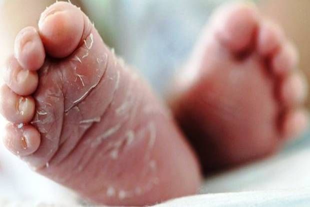 Mayat 14 Bayi dan Janin dalam Kantong Plastik Ditemukan di India