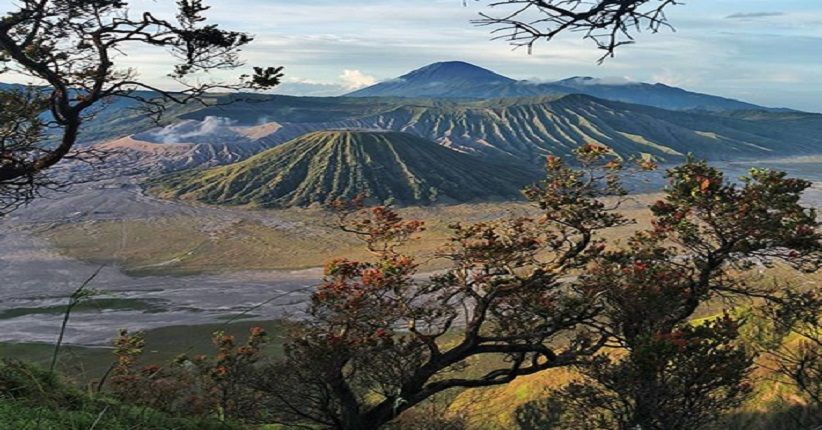 Bukit Teletubbies Terbakar, Gunung Bromo Sudah Aman Dikunjungi Turis