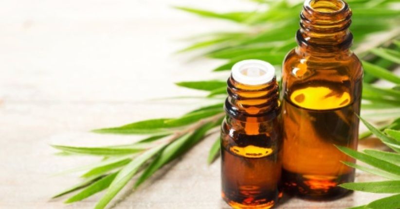 Organ Intim Pria Bisa Kena Infeksi Jamur, Obatnya Bahan Alami Saja