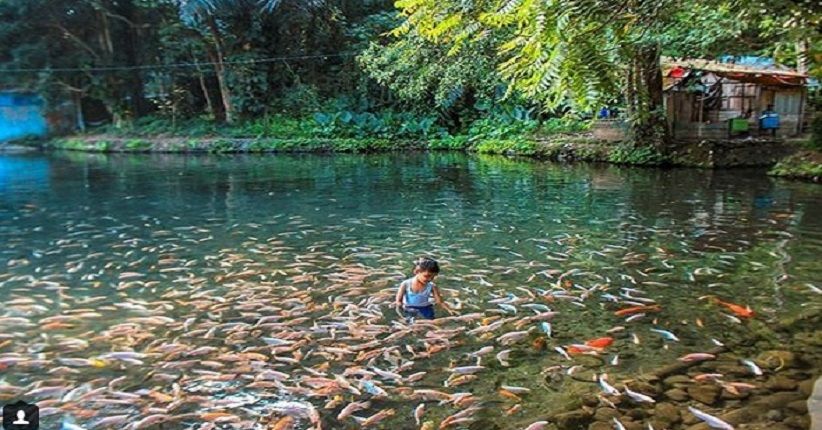 Objek Wisata Salatiga, Kunjungi Kolam Kuno Pemandian Raja di Senjoyo