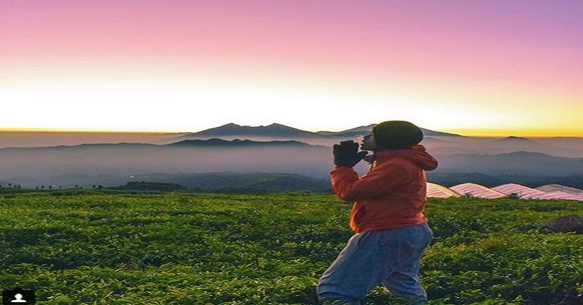 Perkebunan Teh Malasari Bogor, Spot Wisata Eksotis Peninggalan Belanda