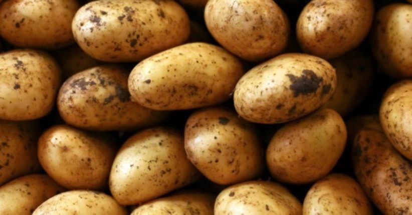 Makanan-Makanan Ini Bisa Sebabkan Keguguran, Salah Satunya Kentang