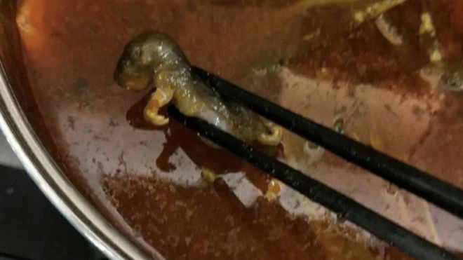 Ada Tikus Mati di Sup, Nilai Pasar Saham Restoran Anjlok Rp2,8 Triliun