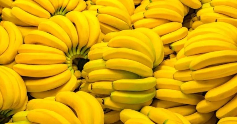 Sederet Manfaat dari Kulit Pisang yang Tidak Banyak Orang Tahu