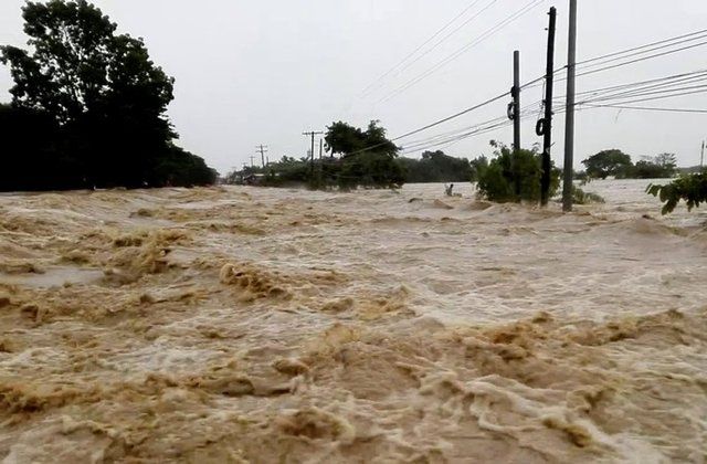250.000 Ton Padi di Filipina Rusak akibat Terjangan Badai Mangkhut