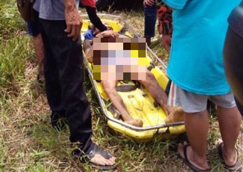 2 Orang Tewas dan 1 Kritis Digigit Ular saat Mencari Buah di Hutan