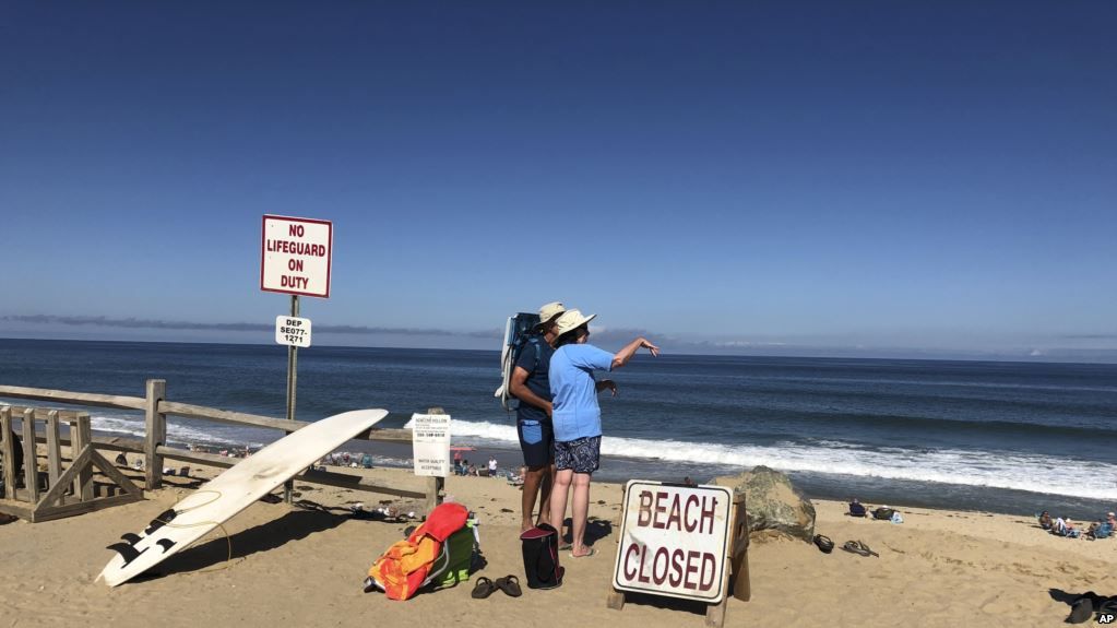Pria Tewas Diserang Hiu di Pantai Cape Cod AS