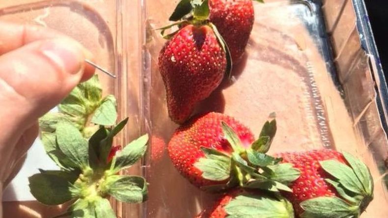 Heboh Strawberry Mengandung Jarum di Australia