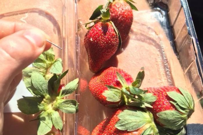 Kasus Jarum di Strawberry, Australia Kerahkan 100 Polisi