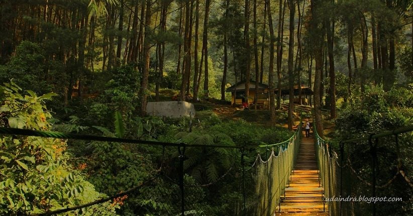 Eksplor Wisata Bogor di Kampung Loji sambil Lihat Penangkaran Elang