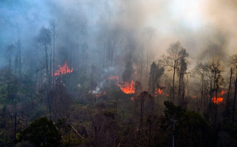 Kebakaran Hutan dan Lahan Banjarbaru Sepanjang 2018 Capai 511 Hektare