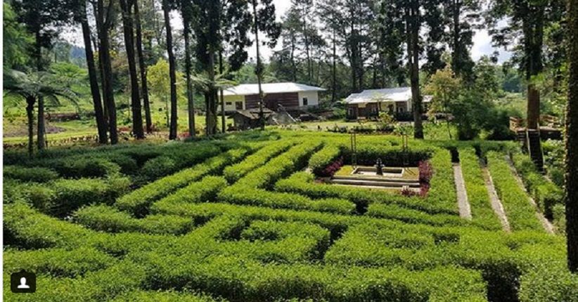 Awas Tersesat di Taman Labirin, Yuk Jelajahi Wisata Hits di Baturraden
