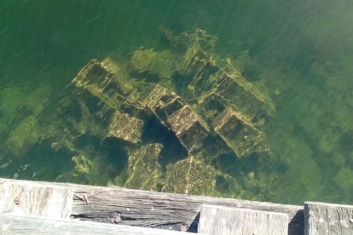 Ratusan Bangkai Troli Belanja Ditemukan di Dermaga Australia