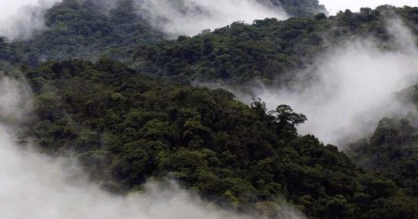 Hutan Terunik di Dunia, Cloud Monteverde seperti Melayang di Atas Awan