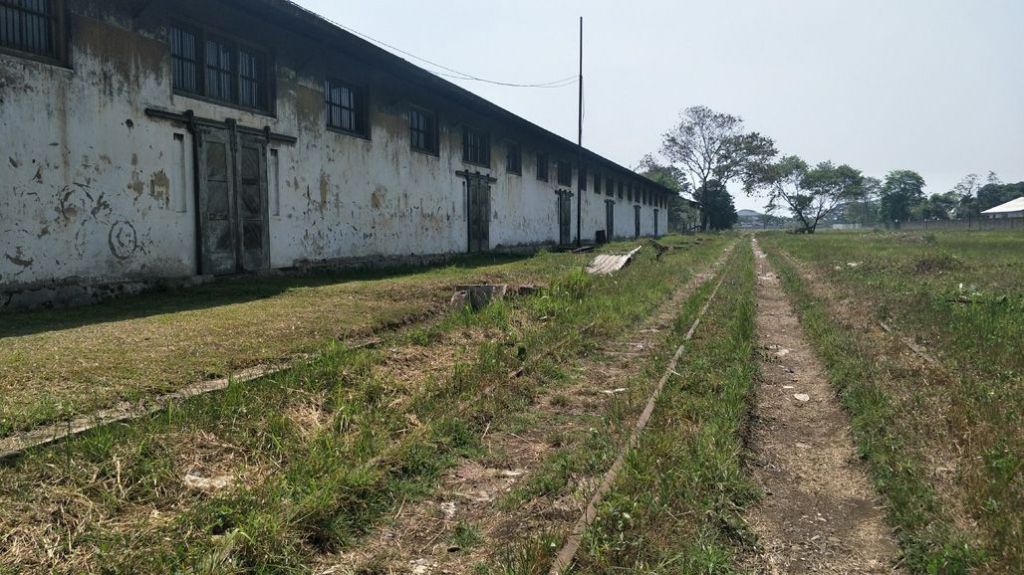 Reaktivasi 4 Jalur Kereta Api di Jabar, PT KAI Mulai Survei Lapangan