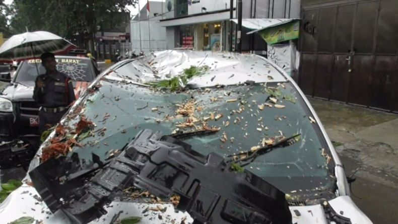 Pohon Tumbang Timpa Mobil Avanza di Medan, Pengemudi Selamat