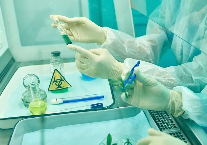 Kremlin: Jaringan Lab Senjata Biologi AS Dibangun di Sekitar Rusia dan Belarusia