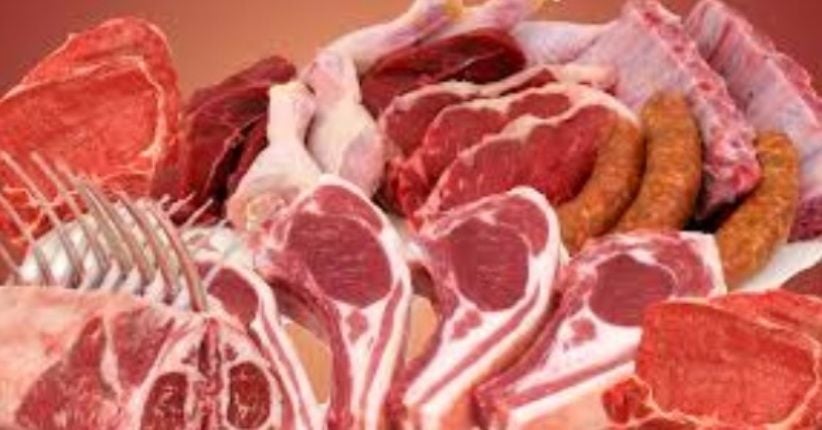 Diet Berhenti Makan Daging, Begini Efeknya bagi Tubuh