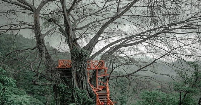 Rumah Pohon Curug Ciherang, Menikmati Alam Bogor yang Sejuk di Hutan