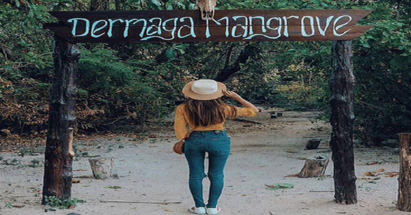 Menjelajahi Padang Savana Baluran, Africa Van Java ala Banyuwangi