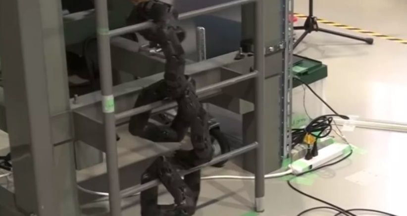 Ilmuwan Bikin Robot Ular yang Bisa Memanjat, Ini Tujuannya