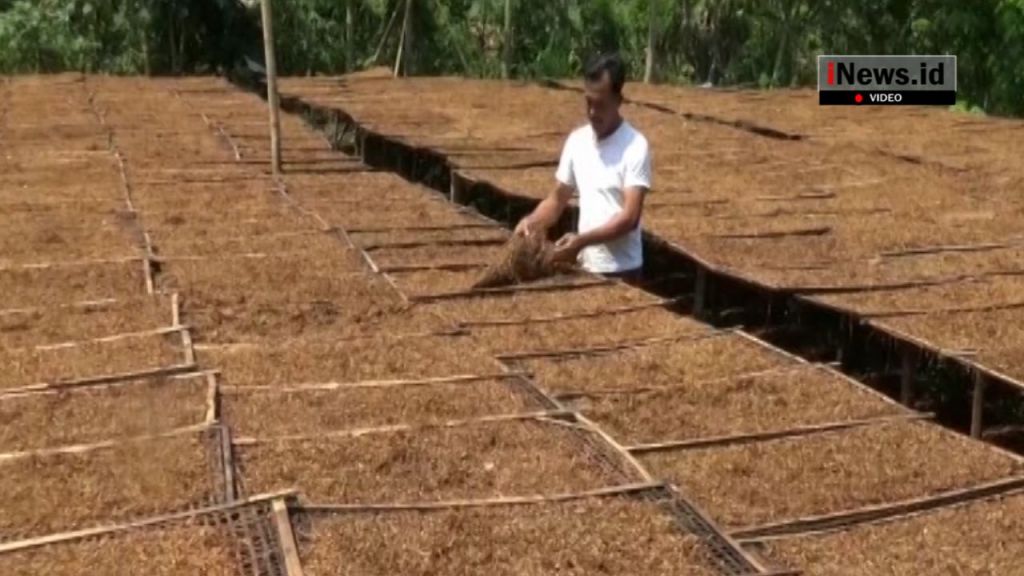Tingkatkan Daya Saing Industri Hasil Tembakau, Kemenperin Siapkan Strategi