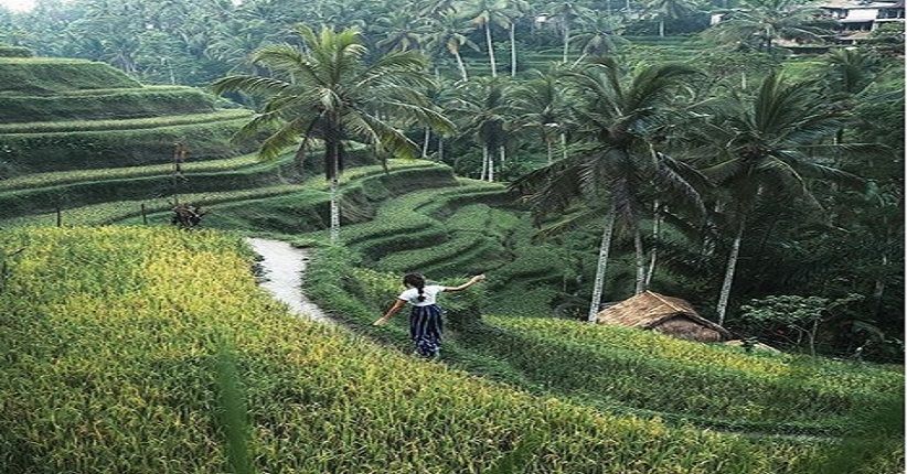 Menikmati Keindahan Alam Pedesaan di Ubud, 3 Tempat Ini Paling Ikonik