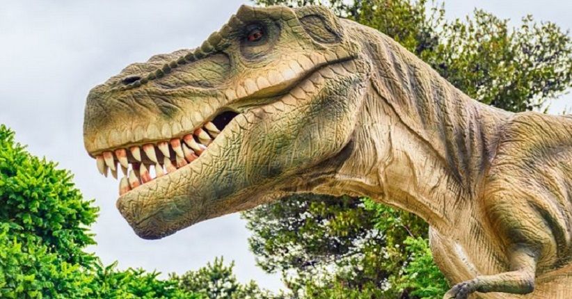 Studi Ungkap Lengan Kecil T-Rex Miliki Fungsi Penting