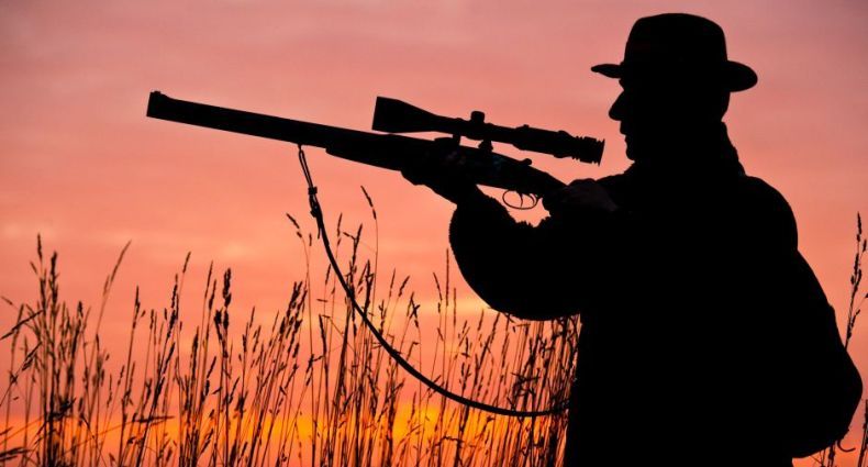 Pria Sedang Cari Kayu Tewas Ditembak Pemburu karena Dikira Babi Hutan