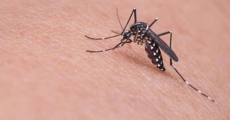 Lebih dari 100 Kasus Wabah Zika Merebak di India Utara