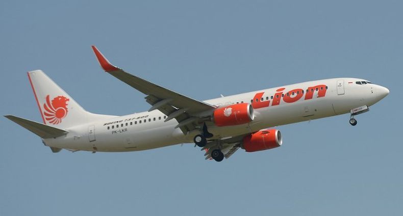 Polri: Pemeriksaan DNA Korban Lion Air JT 610 Rampung 23 November