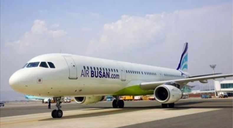 Heboh, Kecoak Berkeliaran di Kabin Penumpang Pesawat Korsel