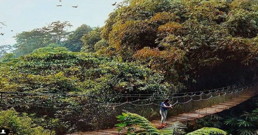 Menikmati Alam Bogor di Loji, Tempat Penangkaran Elang yang Instagenik