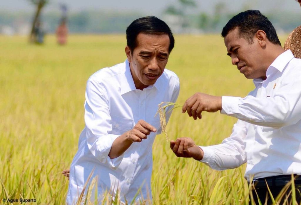 Ini Program Kementan untuk Bangun Pertanian Papua dan Papua Barat