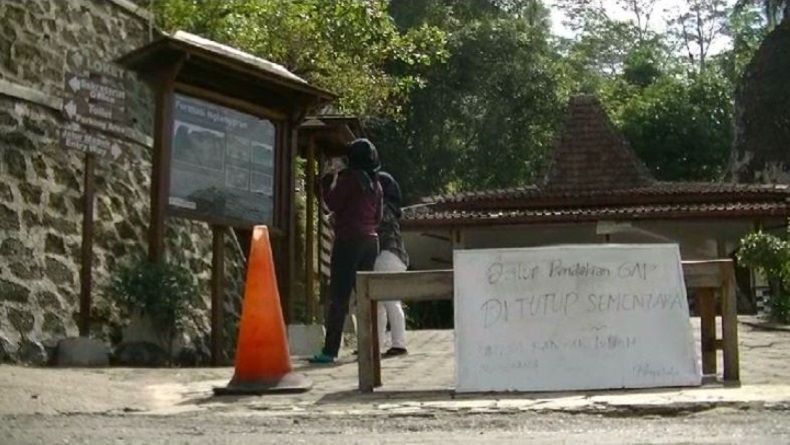 11 Korban Terluka Diserang Lebah, Wisata Gunung Nglanggeran Ditutup