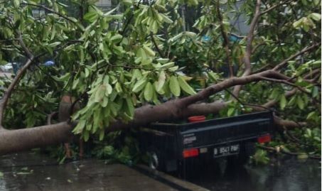 Hujan Lebat Guyur Jakarta, Pohon Tumbang Timpa Mobil di Depan Bawaslu