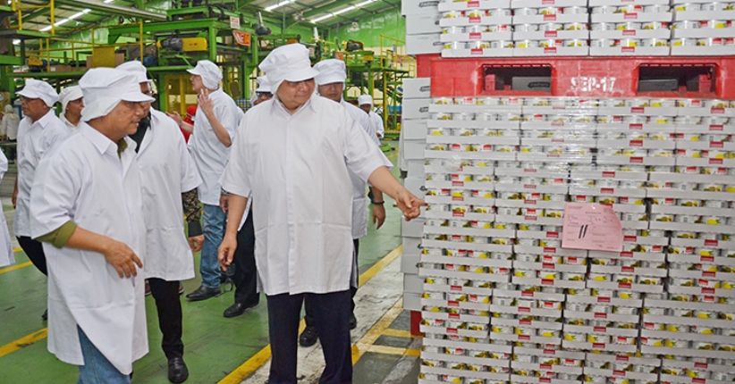 Menperin Apresiasi GGP Ekspor Nanas Kaleng 300 Juta Dolar AS per Tahun