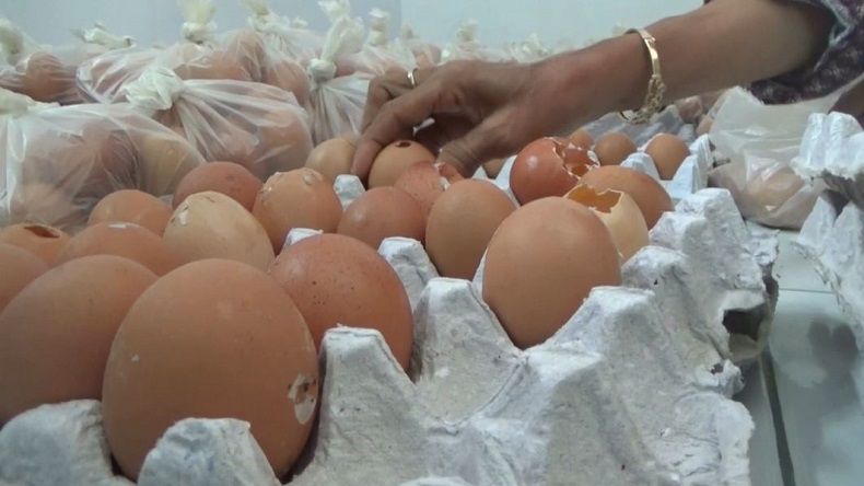 Di Jombang, Sebagian Telur Bantuan Pemerintah Sudah Busuk