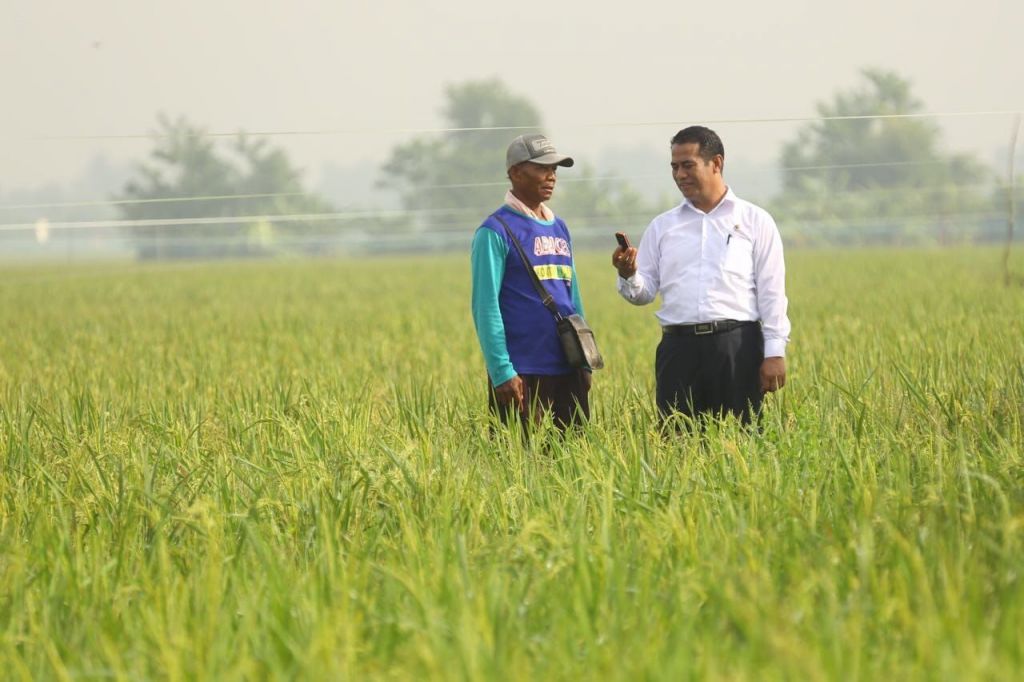 Lawan Mafia Pangan, Mentan Genjot Produksi dan Tata Distribusi Pasar
