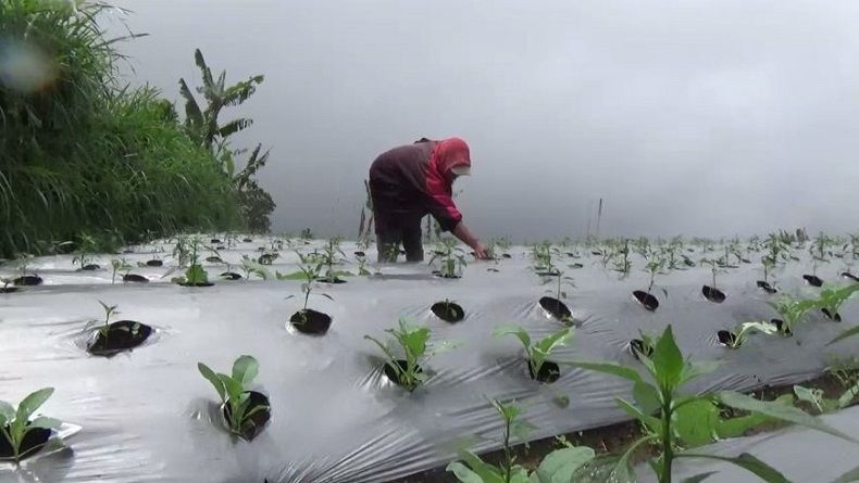 Bikin Alat Pengusir Hama Berbasis Internet, Mahasiswa UNS Solo Raih Juara 1 Kompetisi Nasional