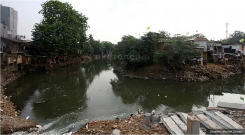 KLHK: Sungai Ciliwung Membaik, Buktinya Udang Hidup