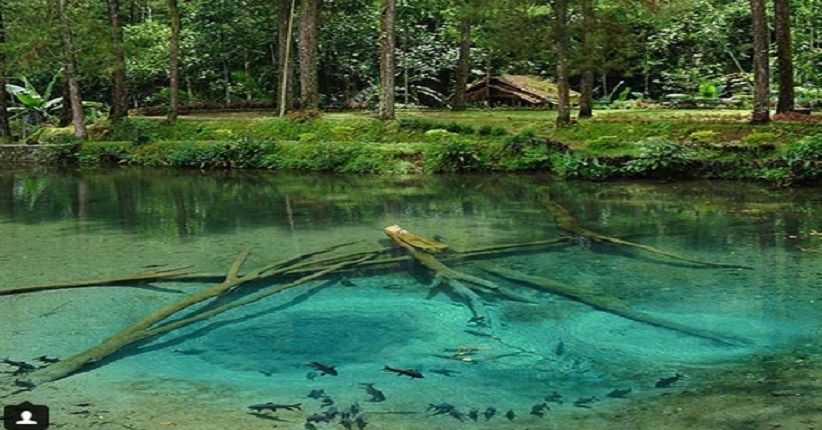 Menelusuri Telaga Rambut Monte di Blitar yang Konon Miliki Ikan Purba