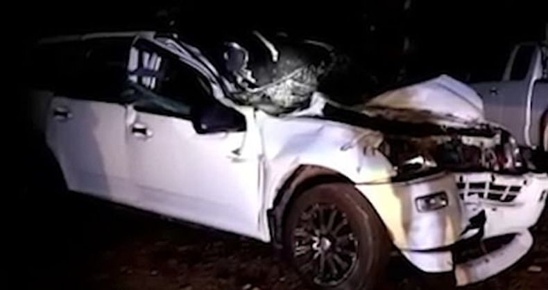 Gajah Mengamuk karena Ditabrak Mobil, Injak Pengemudi hingga Tewas